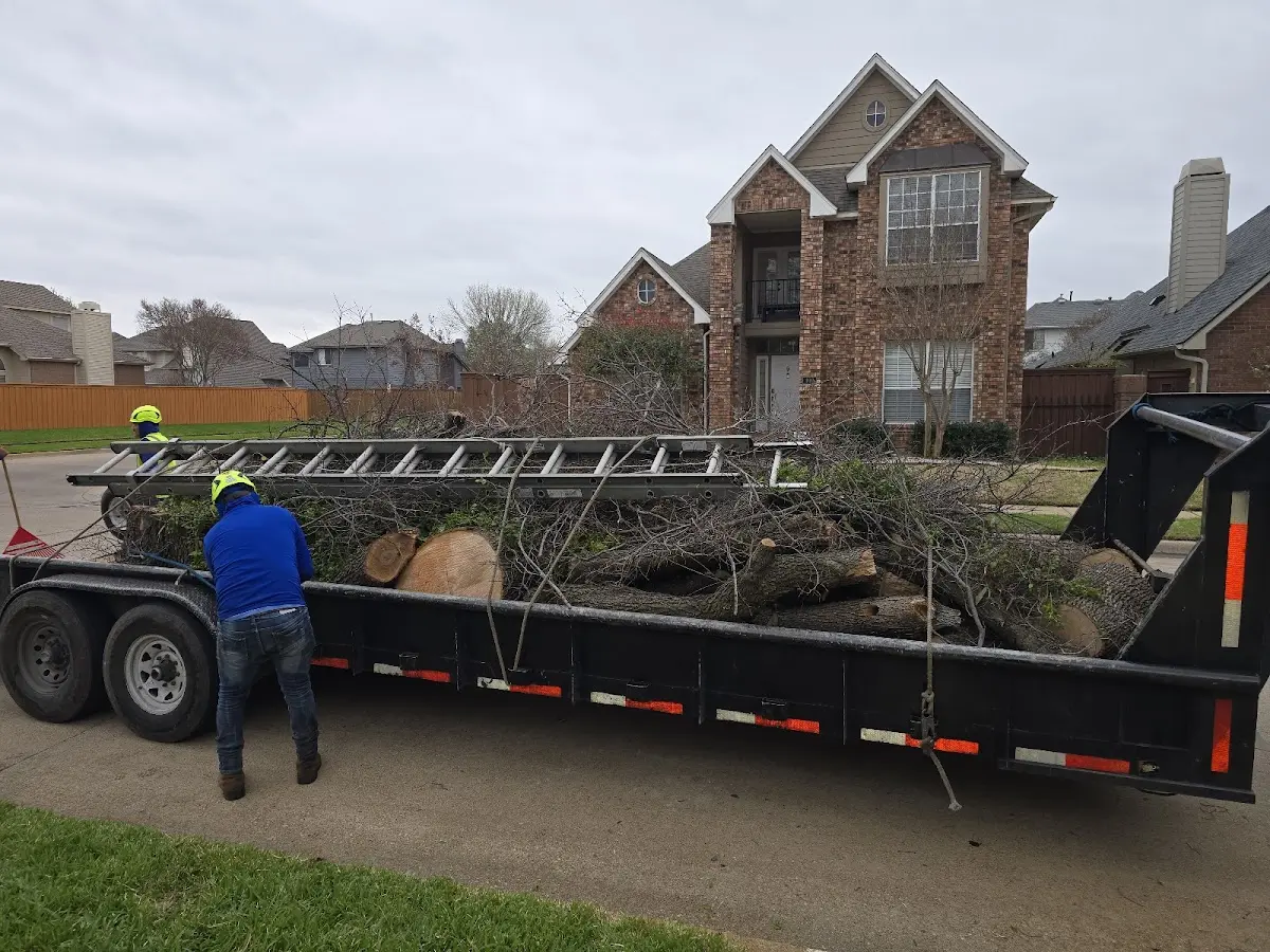 Expert Tree Fertilization with proper safety equipment in Bowling Green